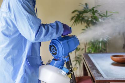 Commercial Fumigation in Bellingham, WA