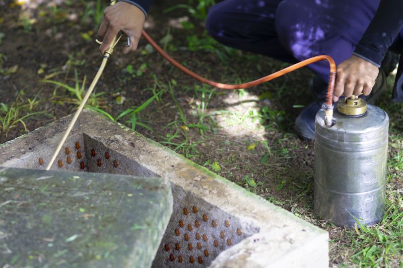 Pest Fumigation Service in San Jose, CA