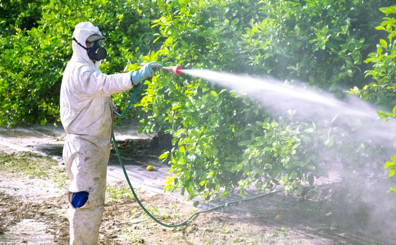 Roach Fumigation in Naperville, IL