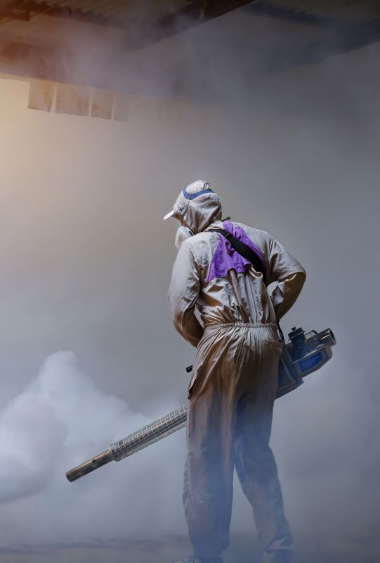 Spider Fumigation Service in Franklin, TN
