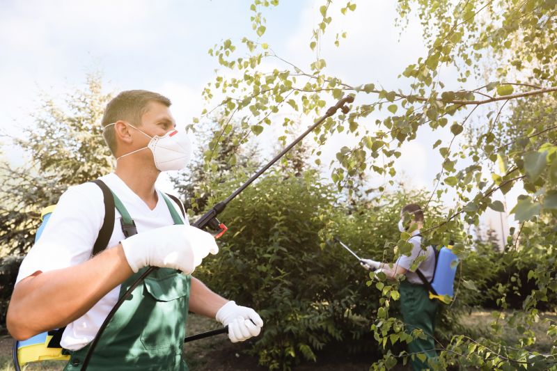 Yard Pest Control in Frisco, TX