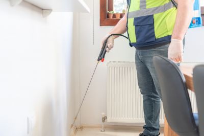 Ant Control Service in Rockwall, TX