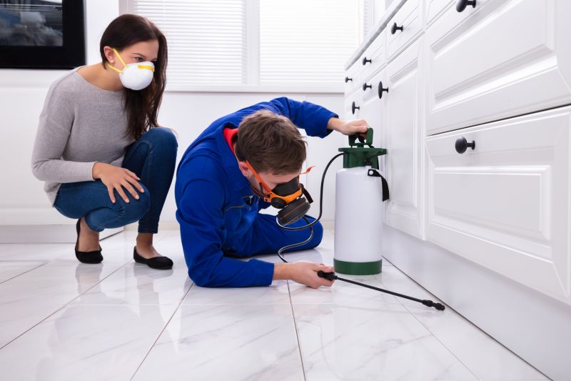 Centipede Extermination in Frisco, TX