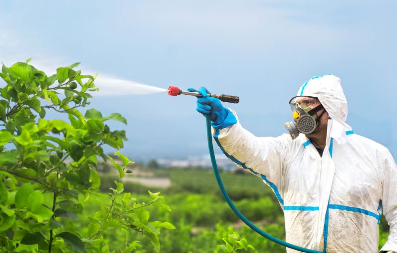 Commercial Fumigation in Wilmington, DE
