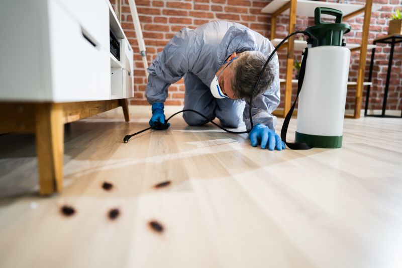 Insect Control Service in Frisco, TX