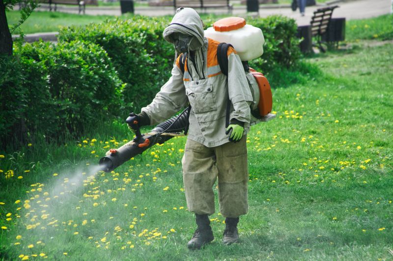 Lawn Insect Spraying in Frisco, TX