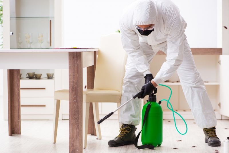 Pest Control Service in Katy, TX