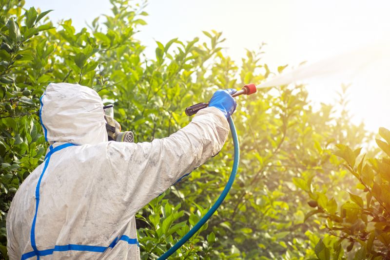 Pest Fumigation Service in Fort Collins, CO