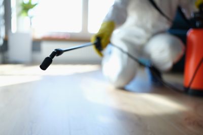 Pest Fumigation Service in Bellingham, WA