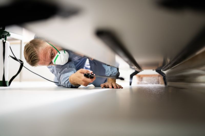 Pest Inspection Service in Katy, TX