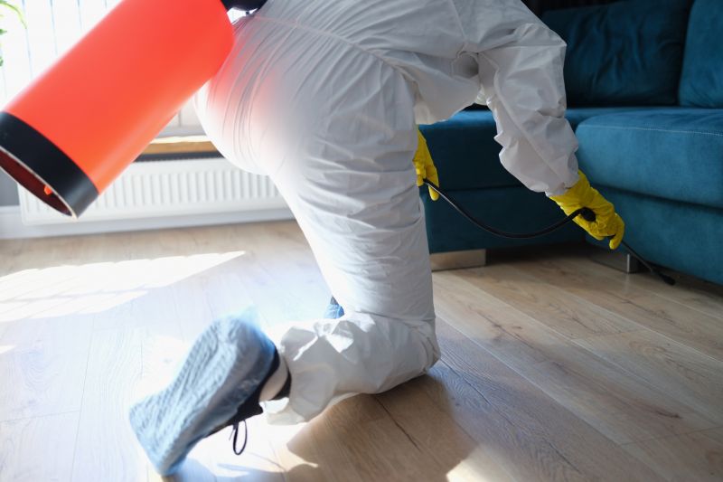 Rat Fumigation Service in West Palm Beach, FL