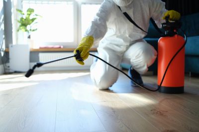 Spider Control Service in Rockwall, TX