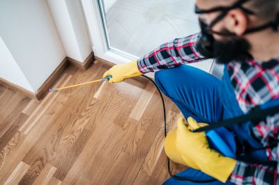 Spider Control Service in Denton, TX
