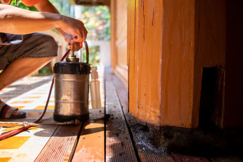 Termite Service in Katy, TX