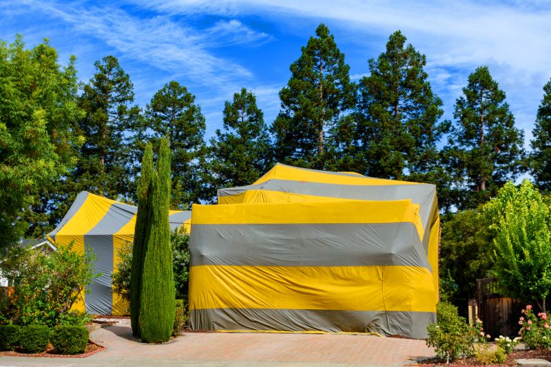 Termite Tenting in Coeur D Alene, ID