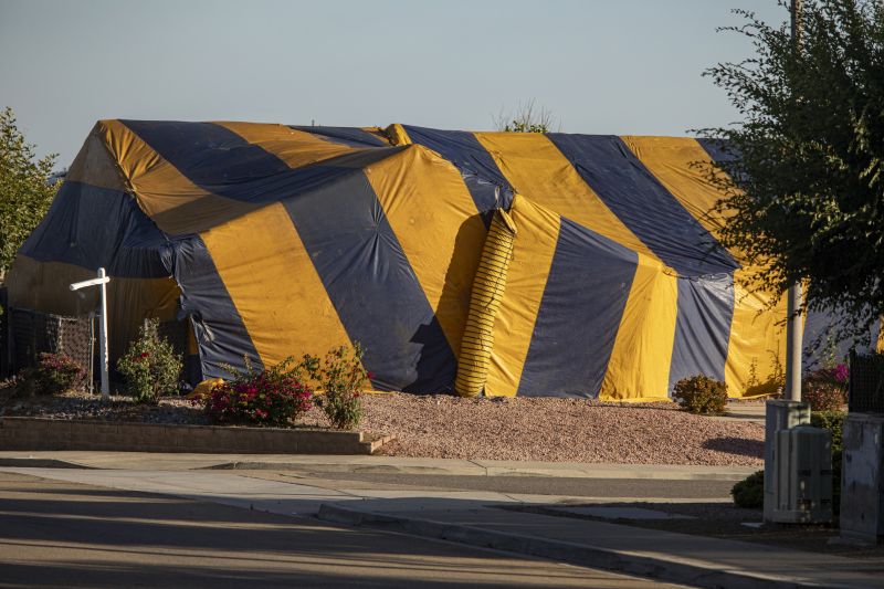 Termite Tenting in Phoenix, AZ